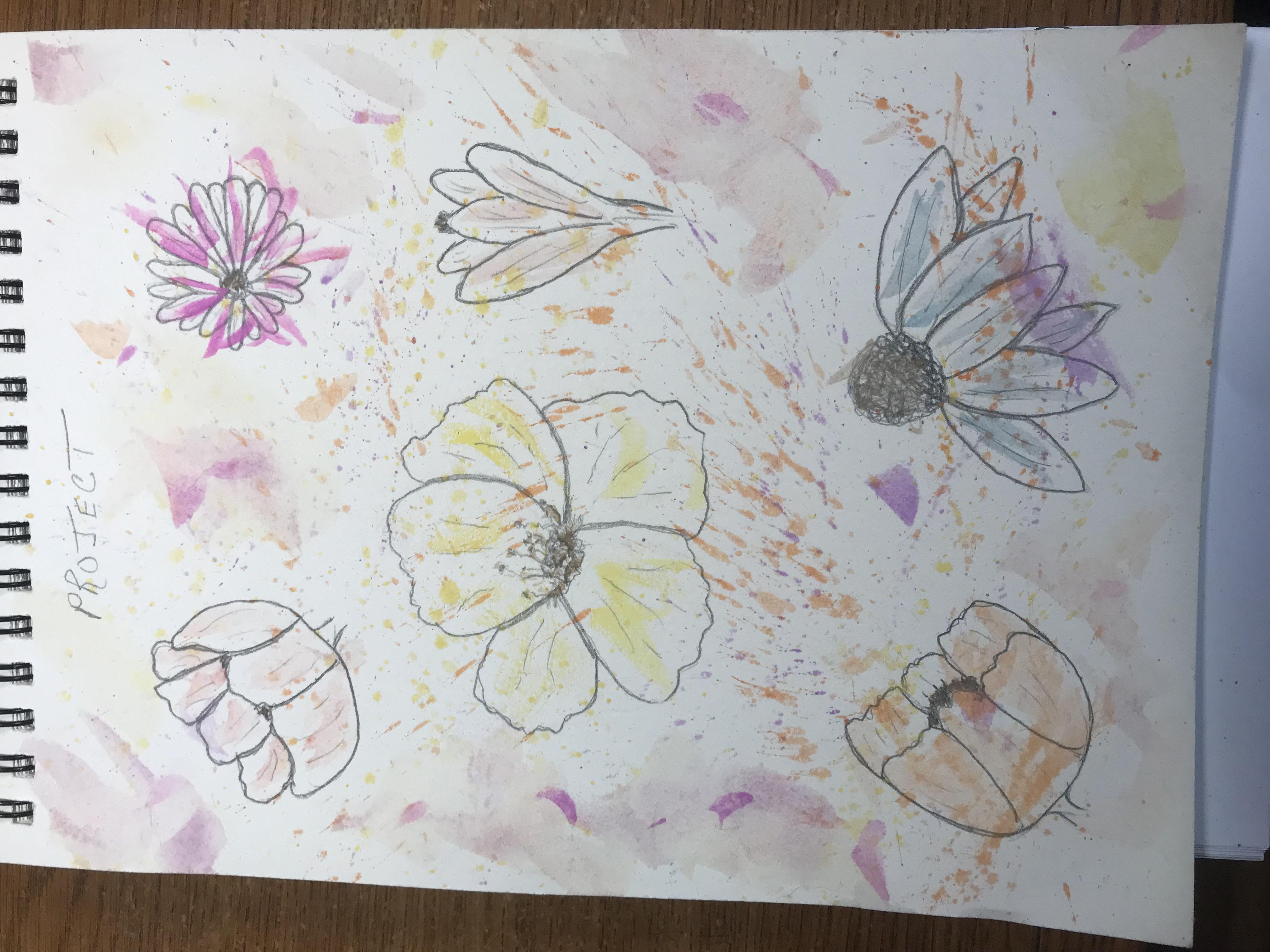 more-projects-from-class-img