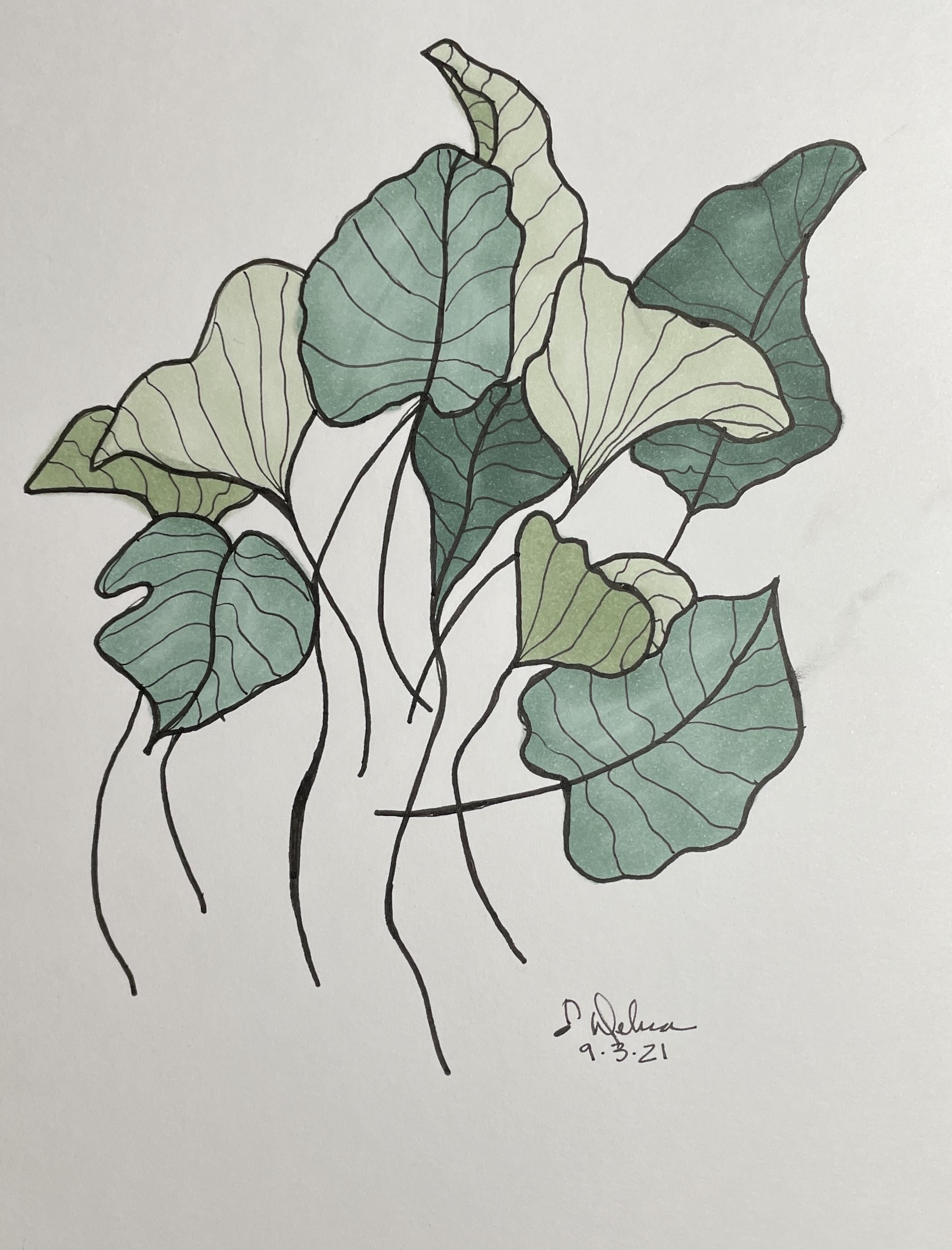 Leaves - student project