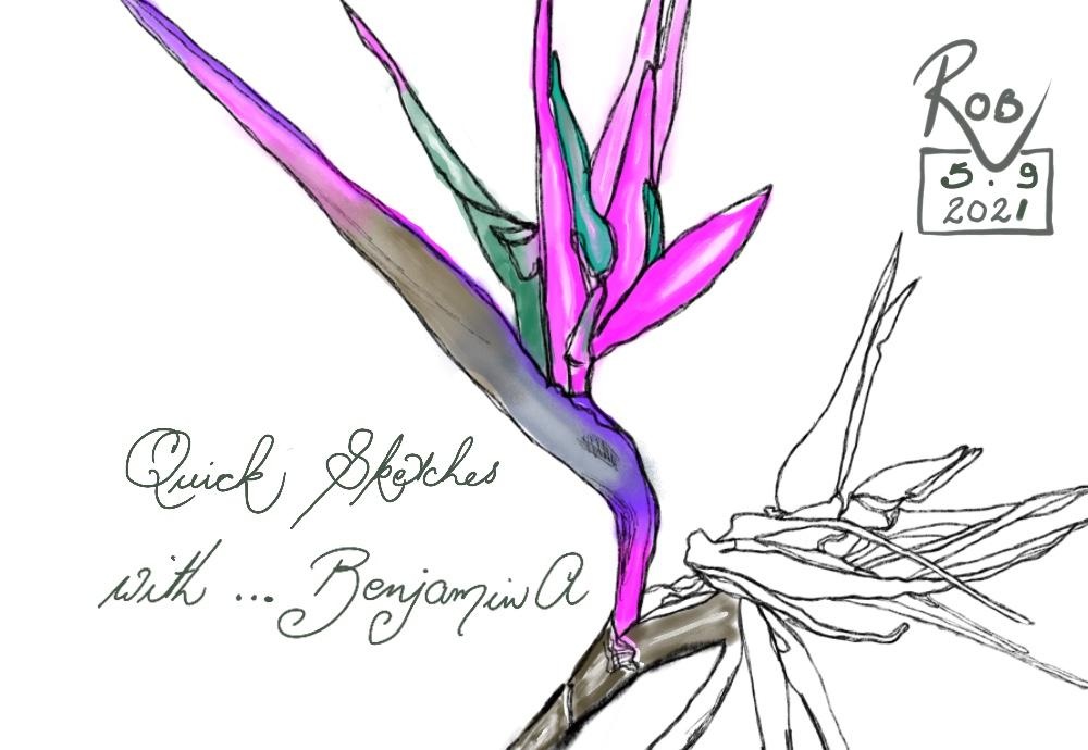 more-projects-from-class-img