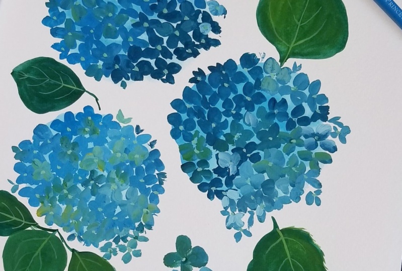 Hydrangeas