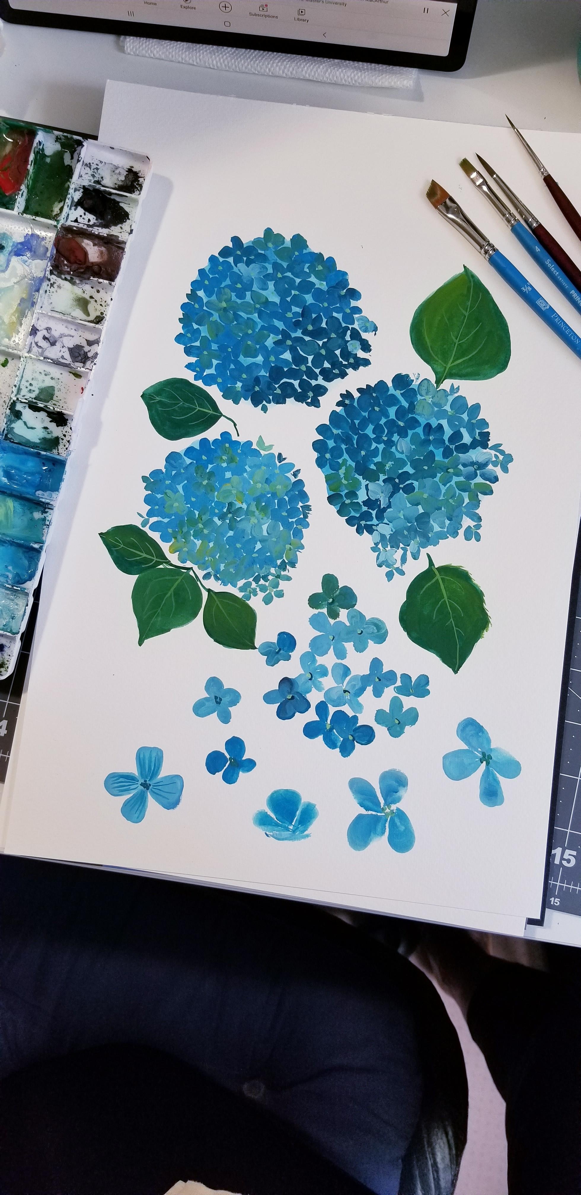 more-projects-from-class-img