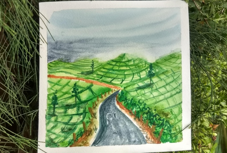 Tea garden