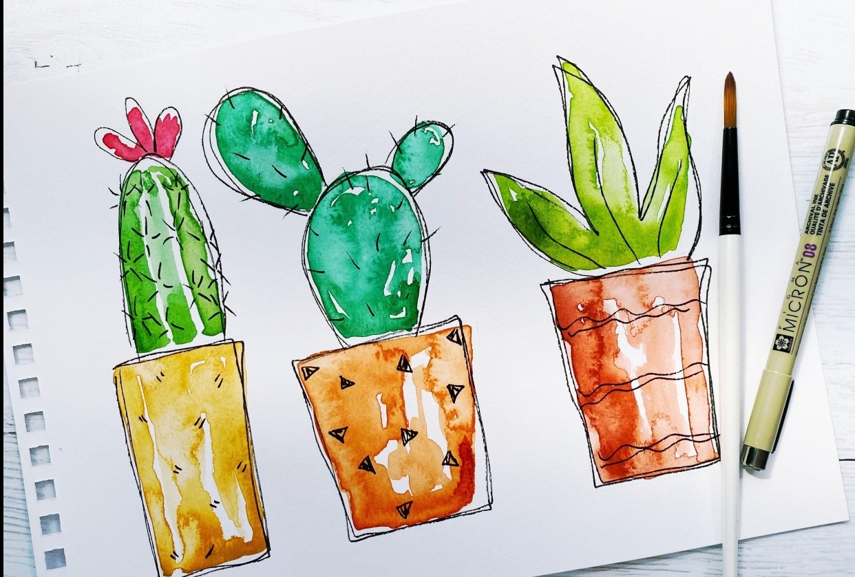 Cacti in Pots - student project