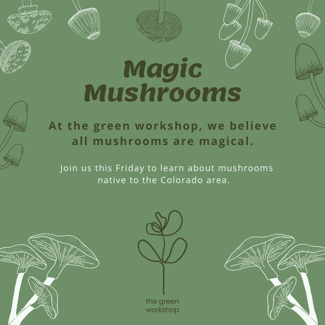 Mushrooms example design - student project