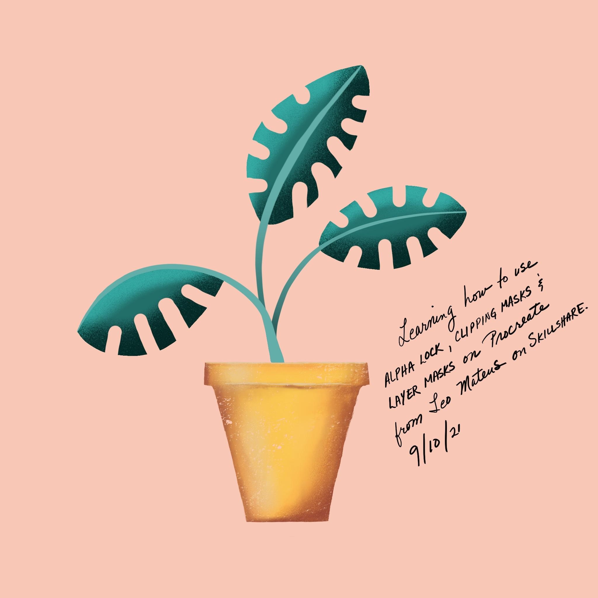 more-projects-from-class-img