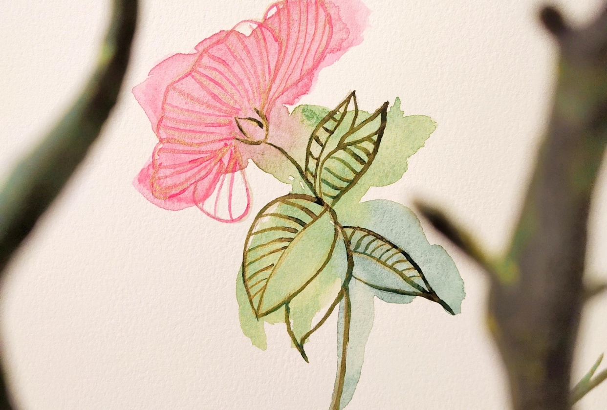 Relaxing Watercolor Flowers - student project