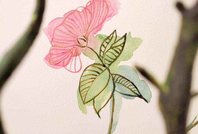 Relaxing Watercolor Flowers