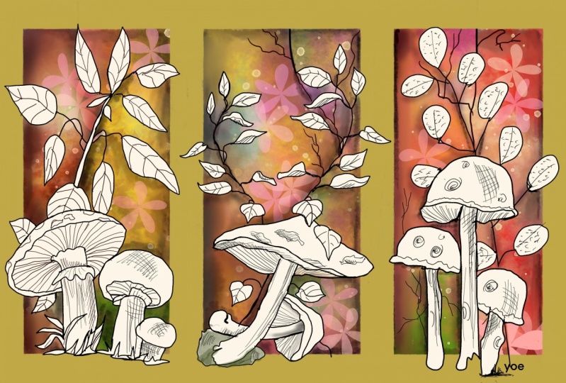 flowers