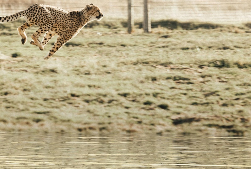 3d Reflection.