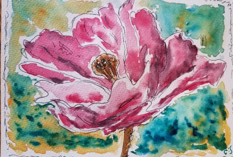 Poppy0920
