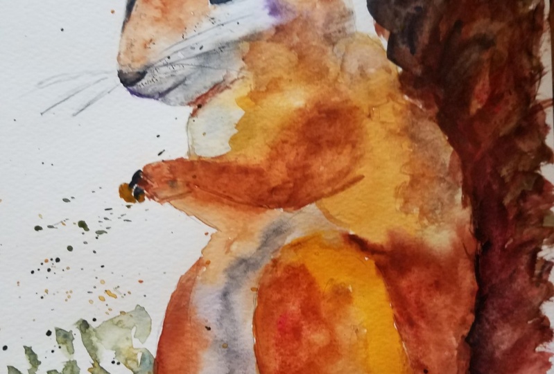 squirrel0921