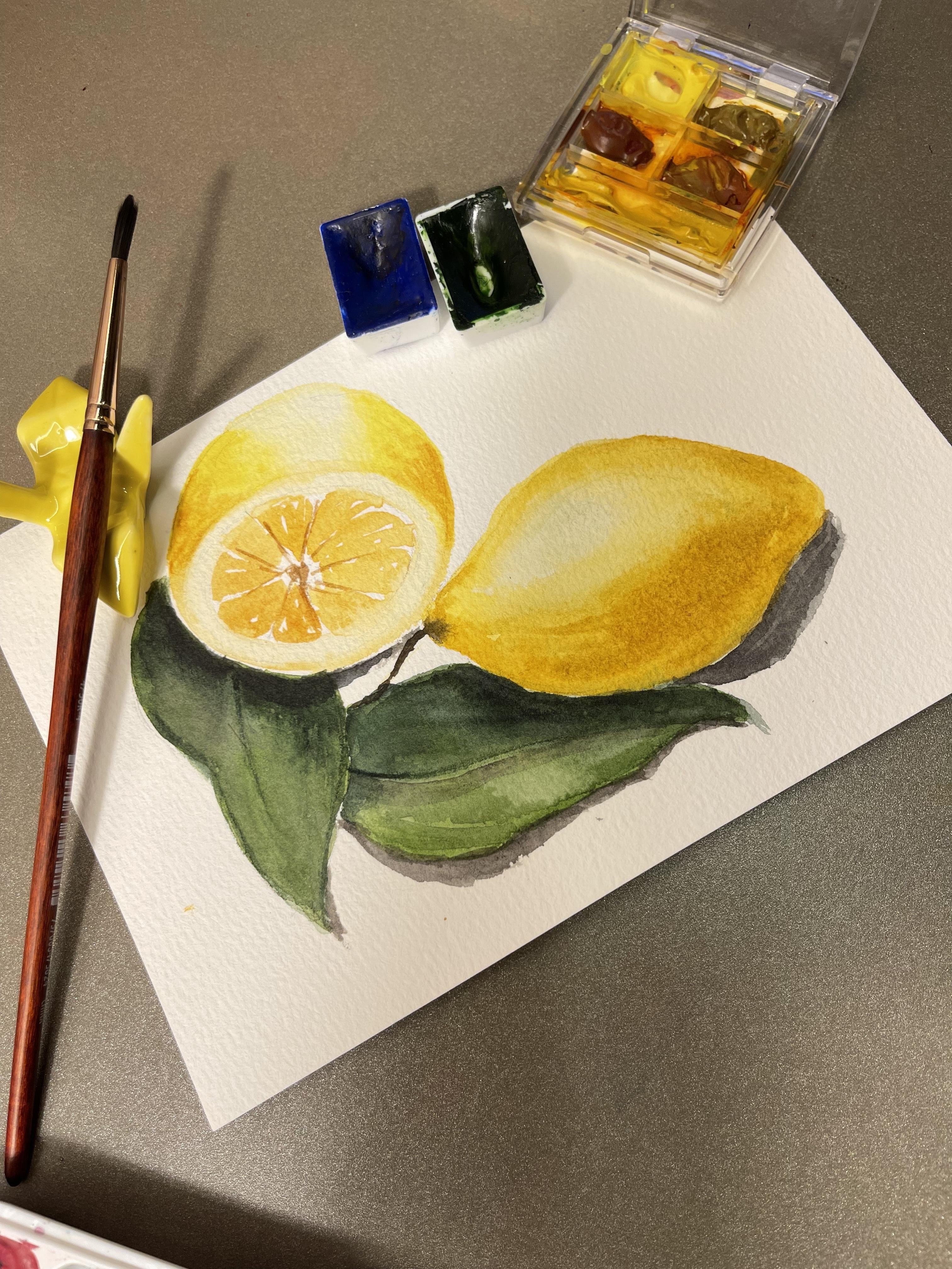 Zesty lemons - student project