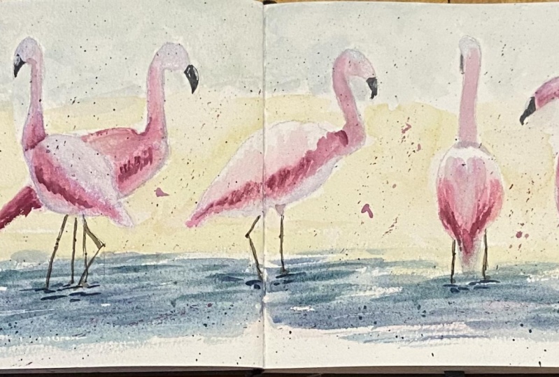 Expressive birds