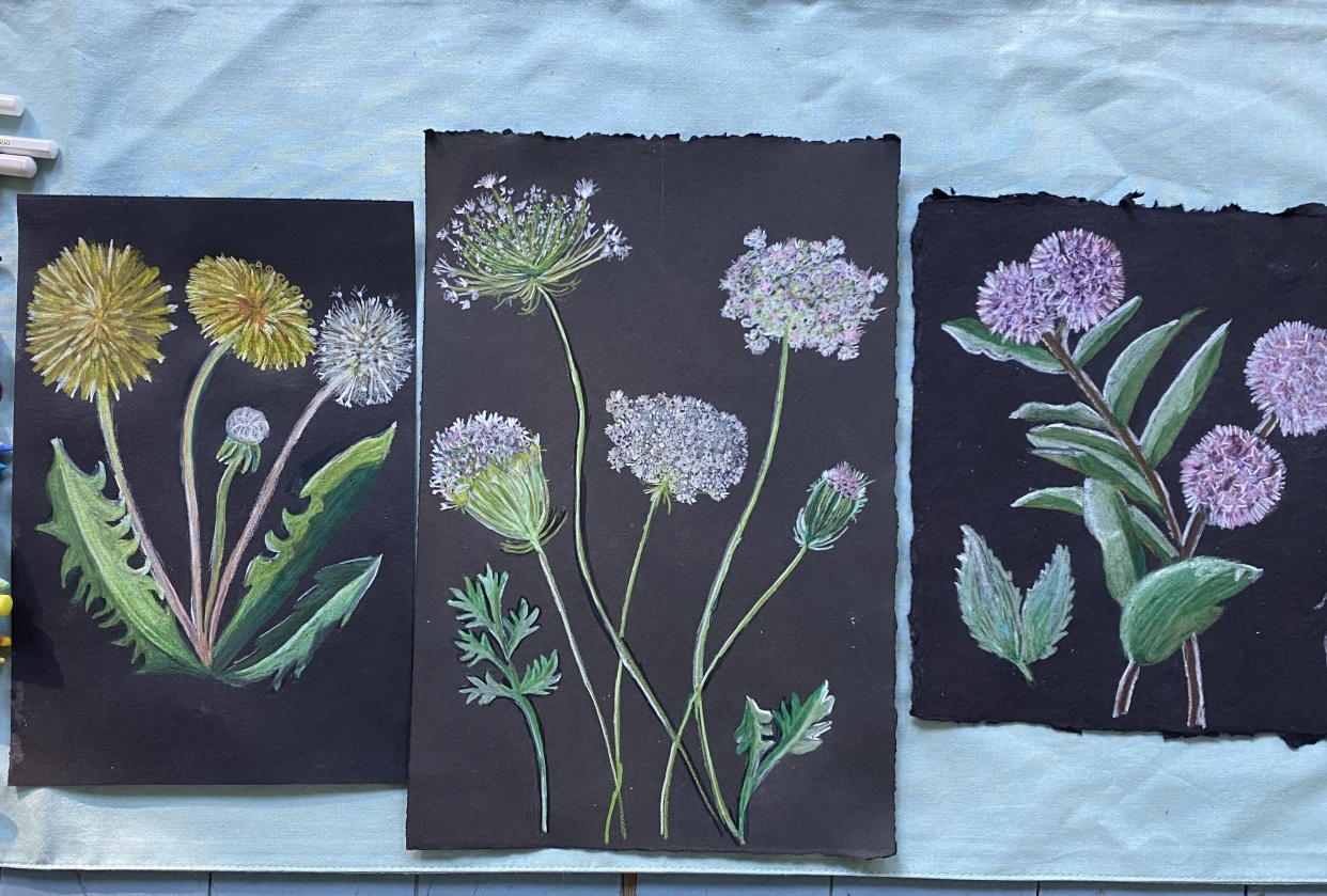 A Day with Dandelions (and Kendyll) - student project