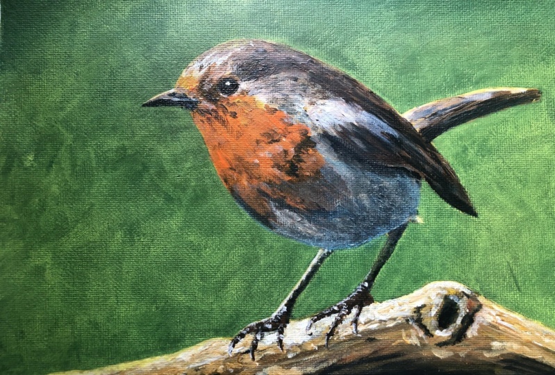 Attempted blurry background and bird