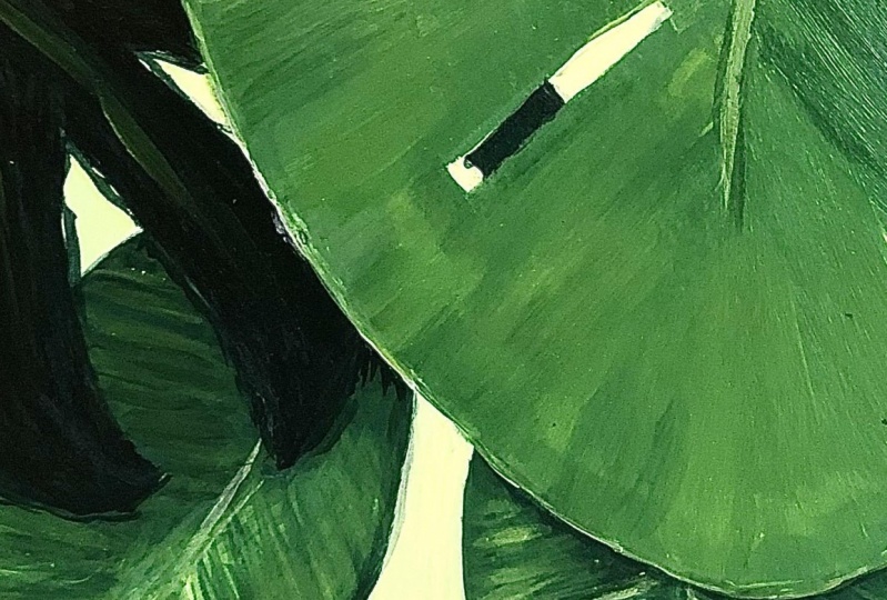 Monster Leaves