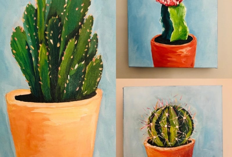 Cactus series