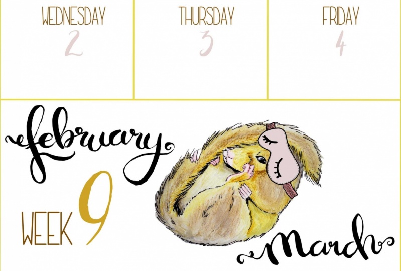 hibernating animal calendar