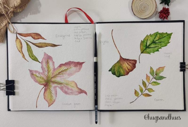 Watercolor Autumn Leaves
