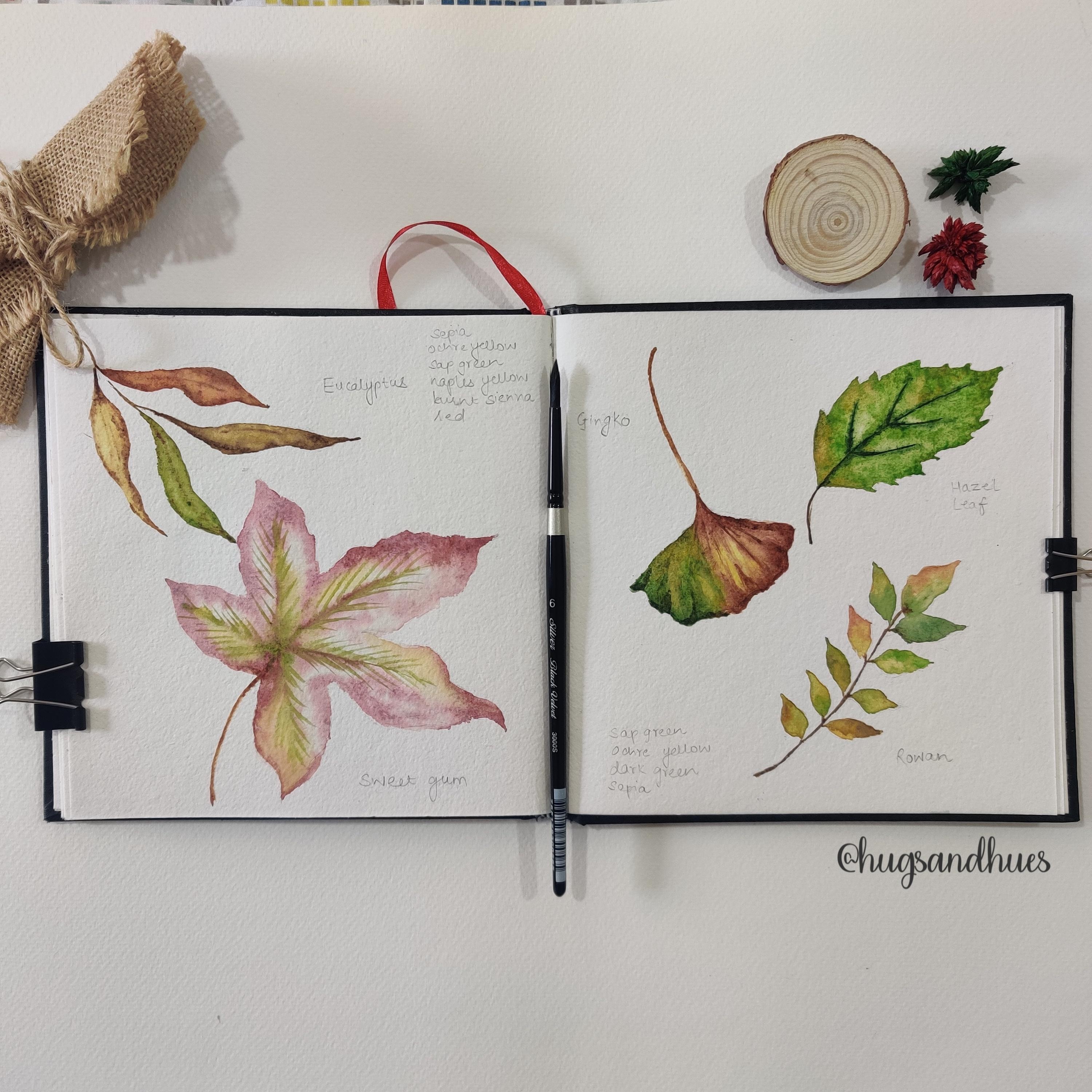 more-projects-from-class-img