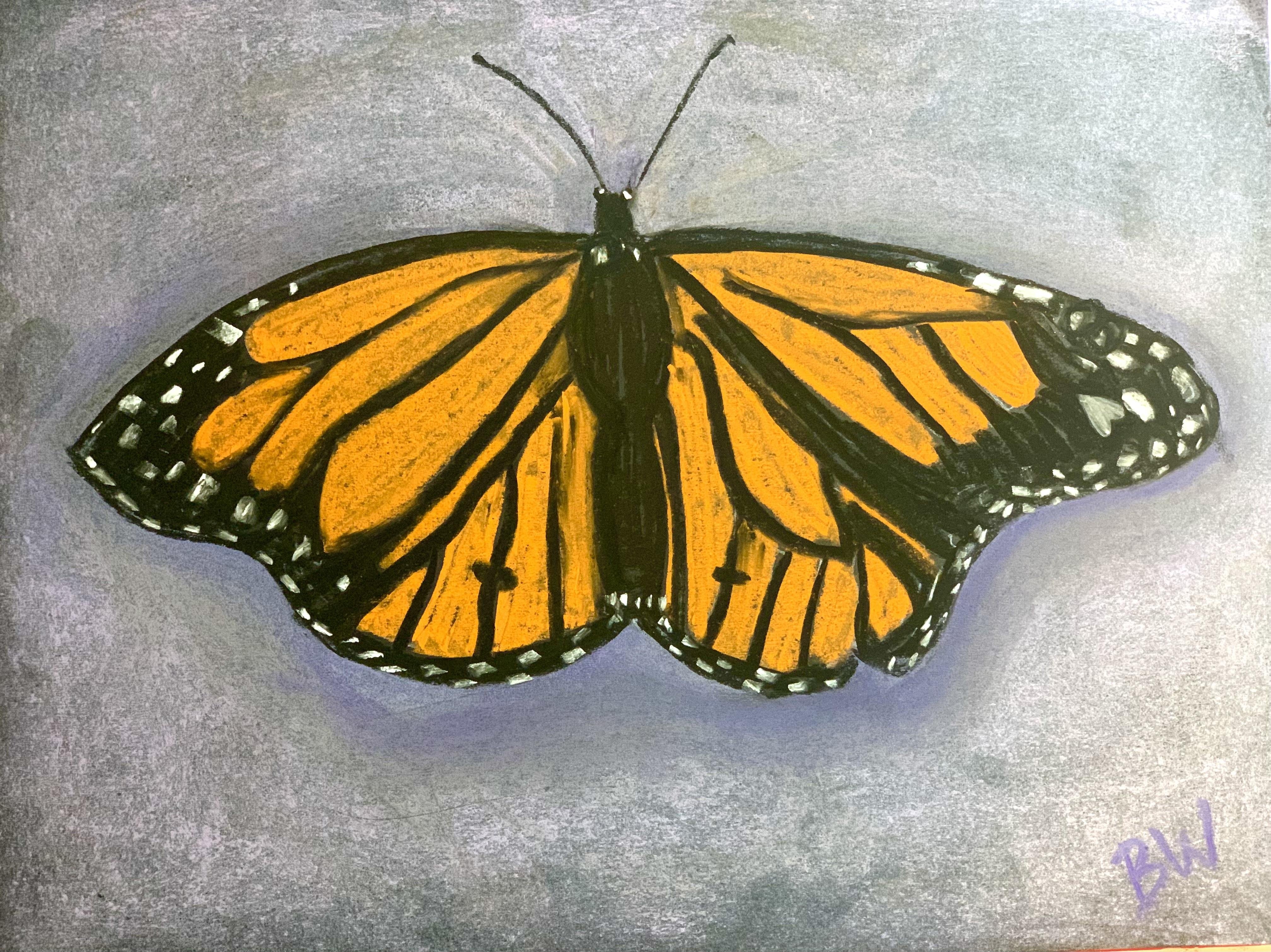 Butterfly - student project