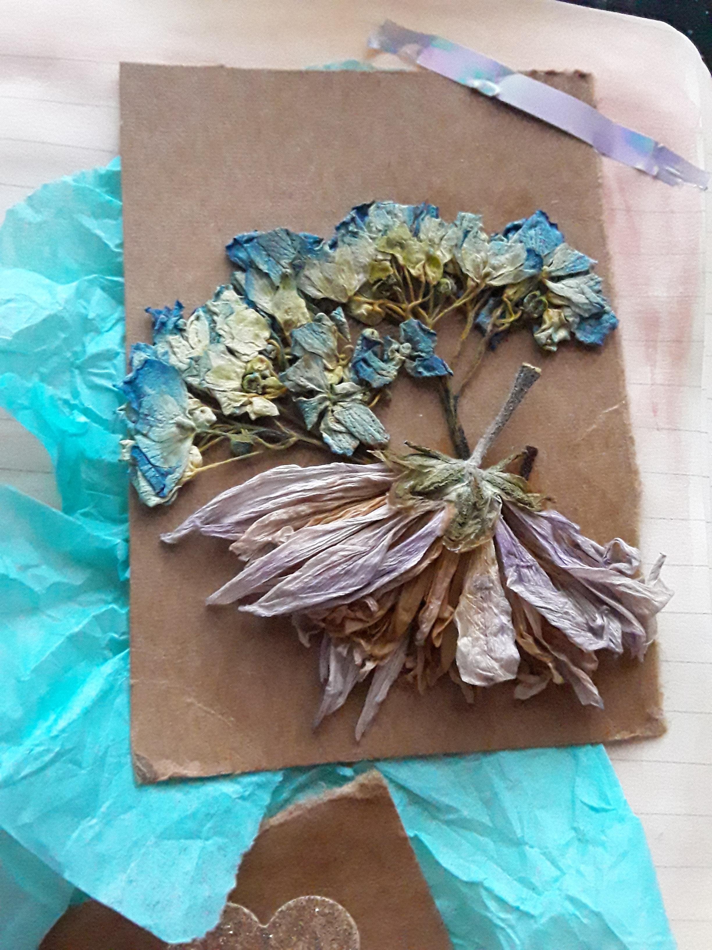 more-projects-from-class-img