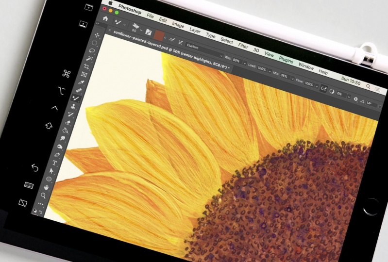 Sunflower