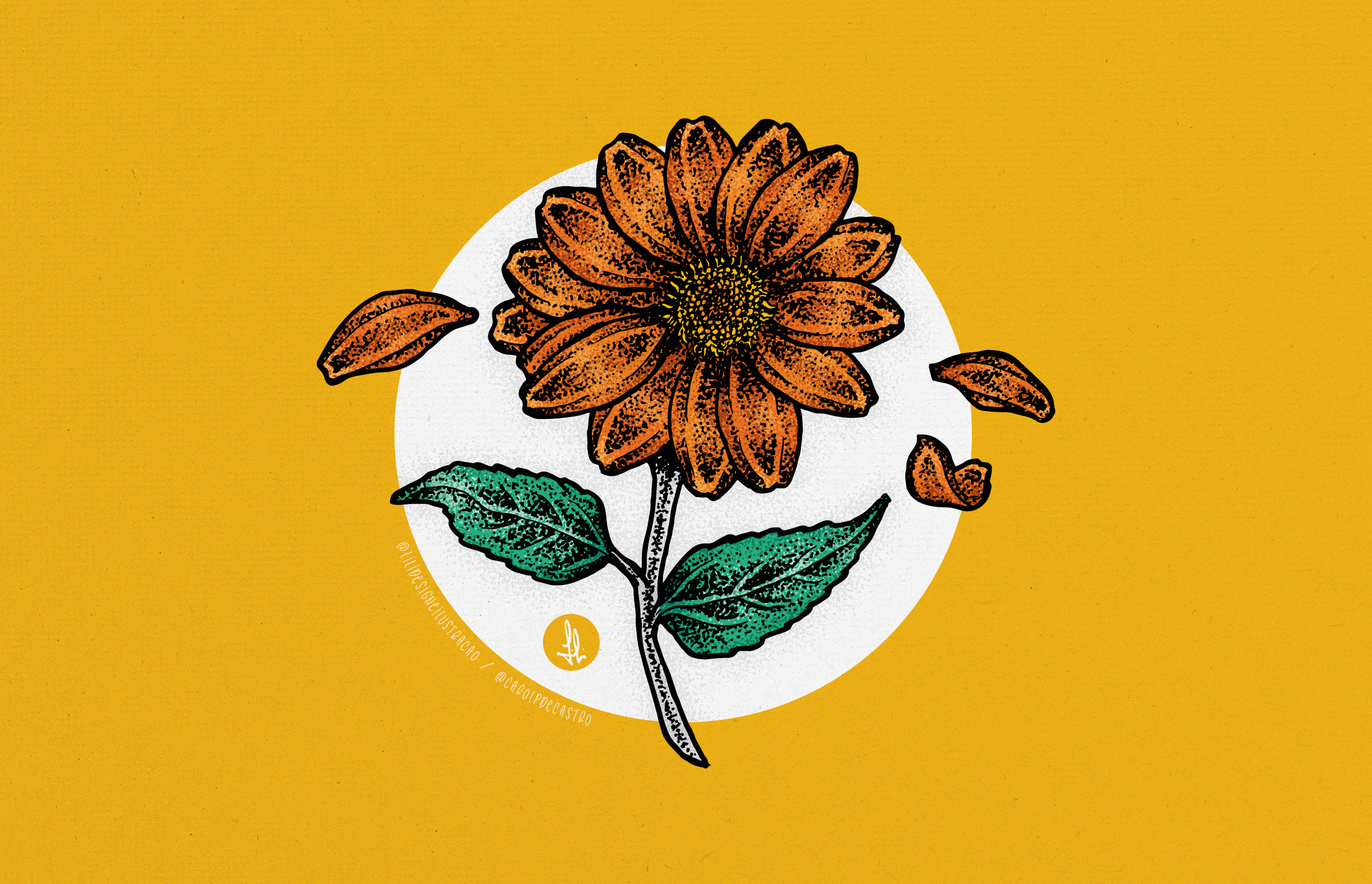 Girassol Mexicano (Tithonia diversifolia) - student project