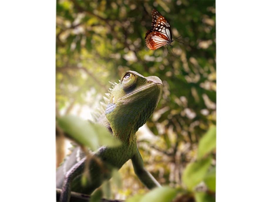 Chameleon - student project