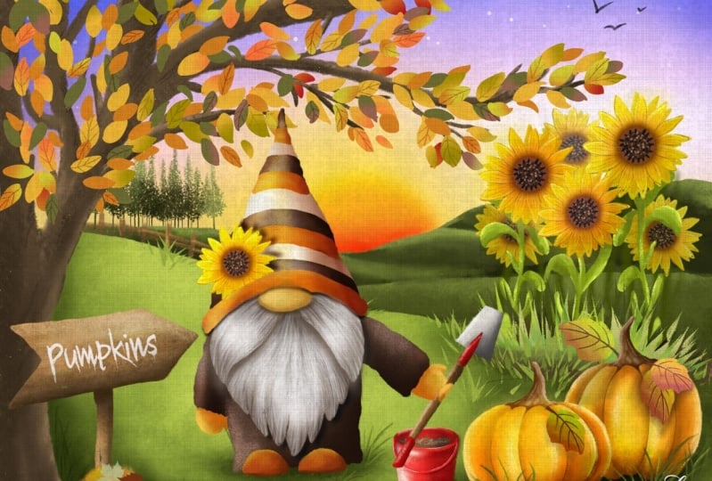 Pumpkin patch