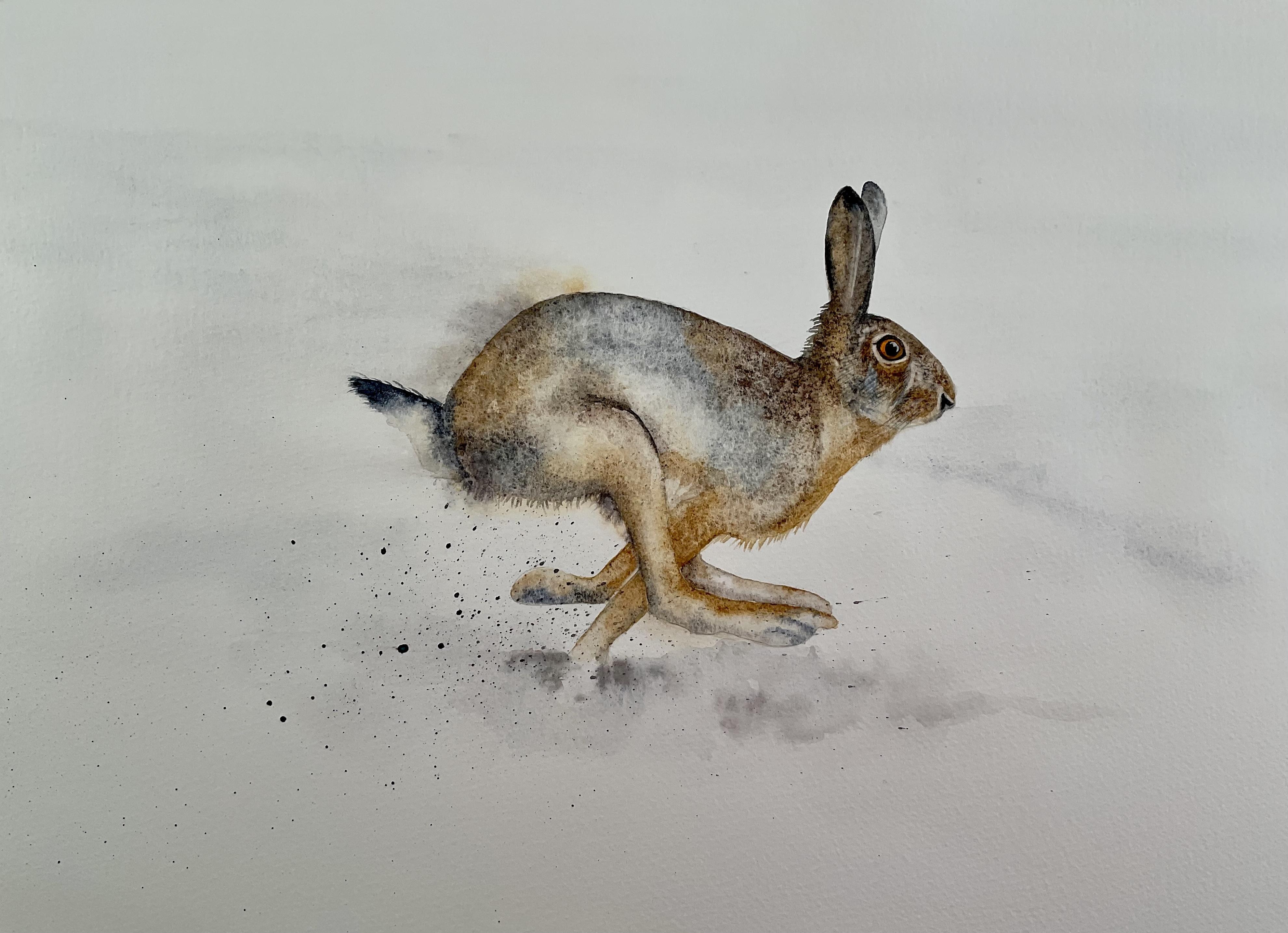 Galloping Hare - student project
