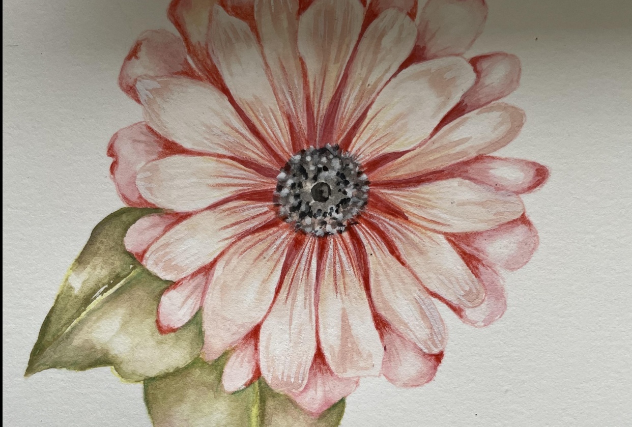 Florals! - student project