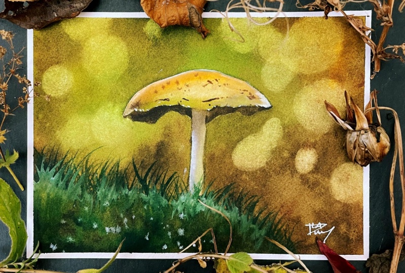 Charming bokeh mushroom