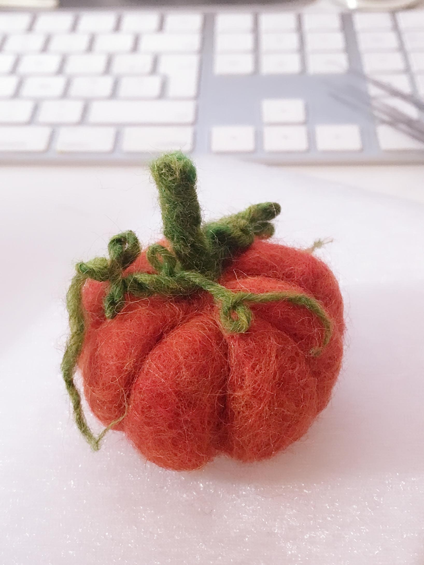 Second felting project - student project