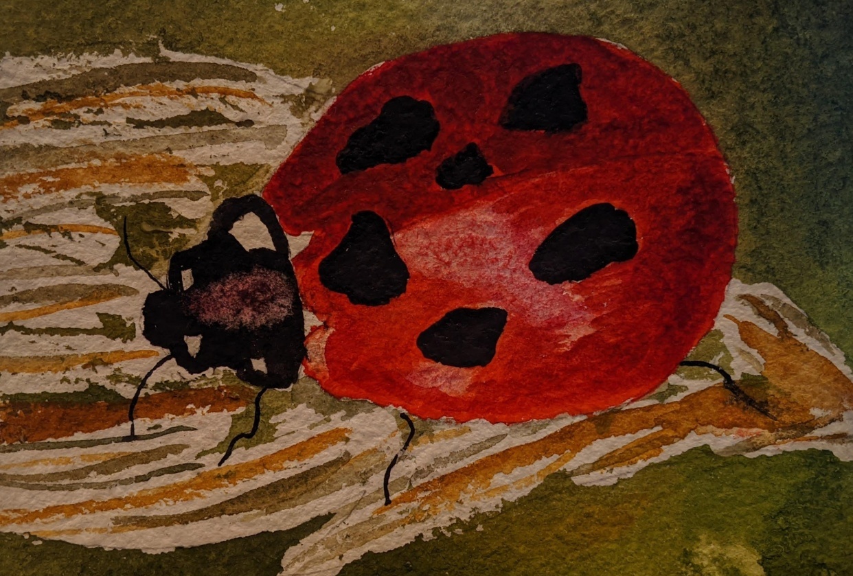 Ladybug - student project