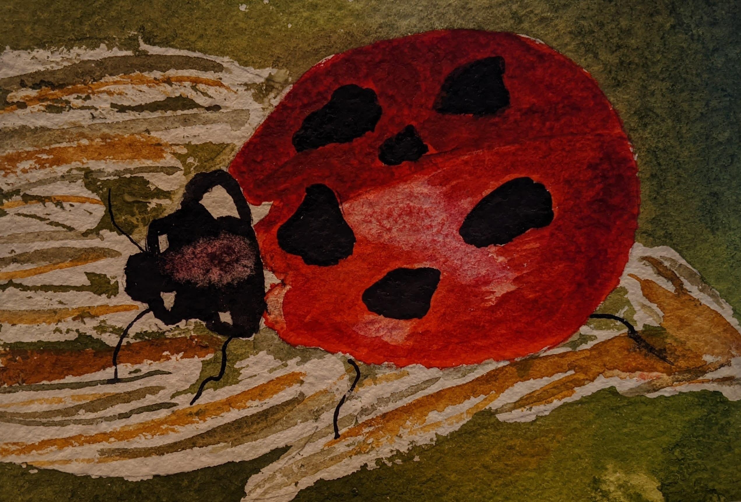 Ladybug - student project