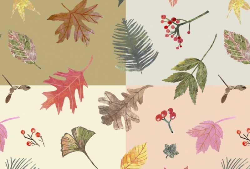 Autumn Botanicals