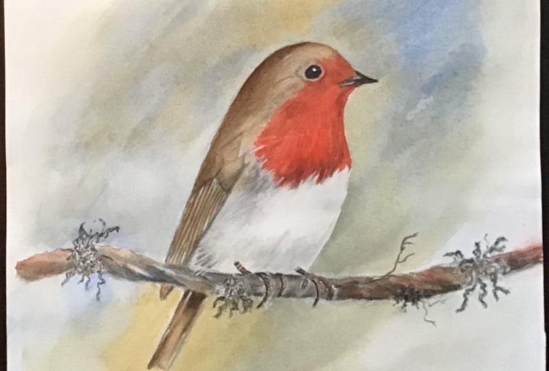 My Robin Redbreast