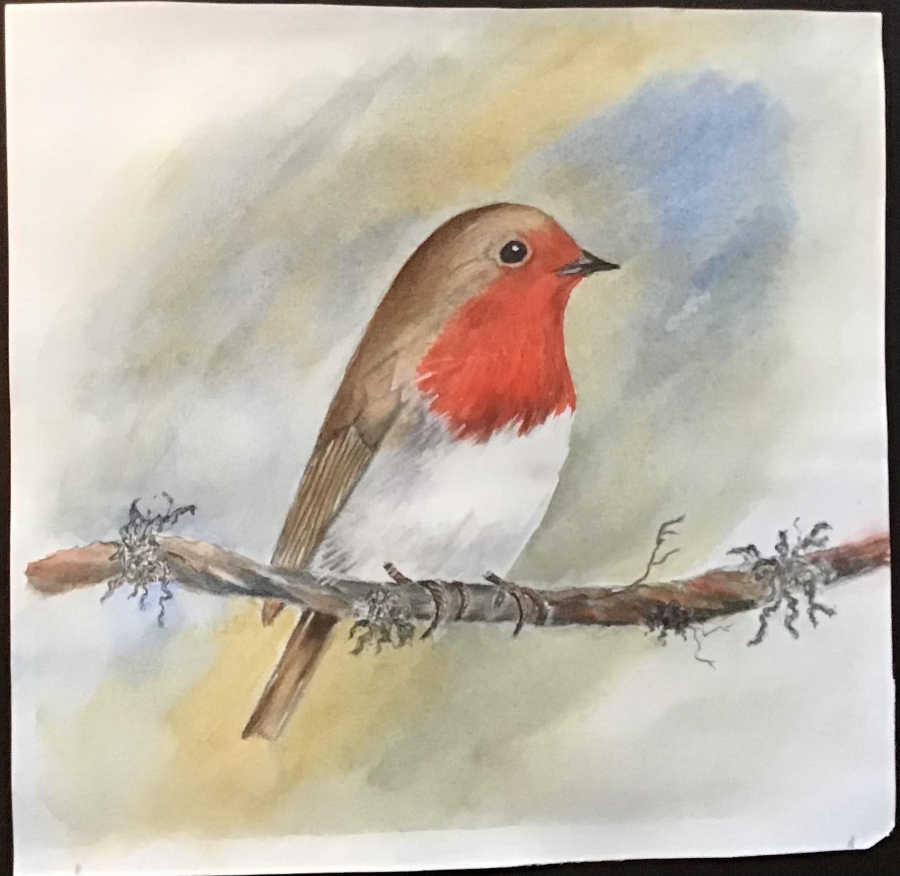 My Robin Redbreast - student project