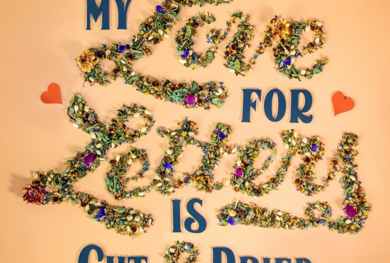 My Love for Letters in Cut & Dried