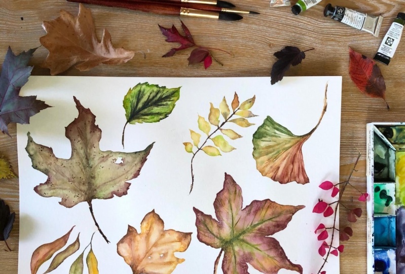 Fall Leaves