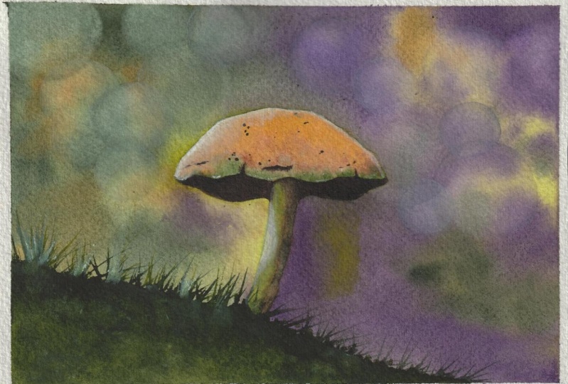 mushroom bokeh