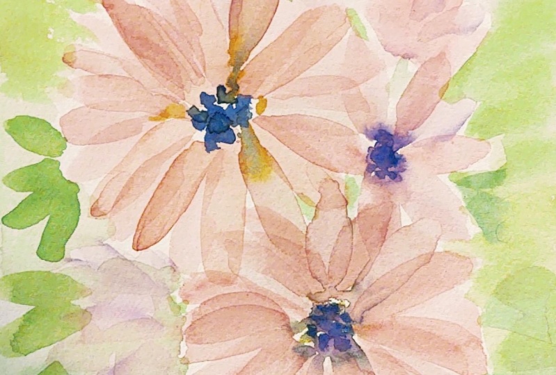 Floral - transparency