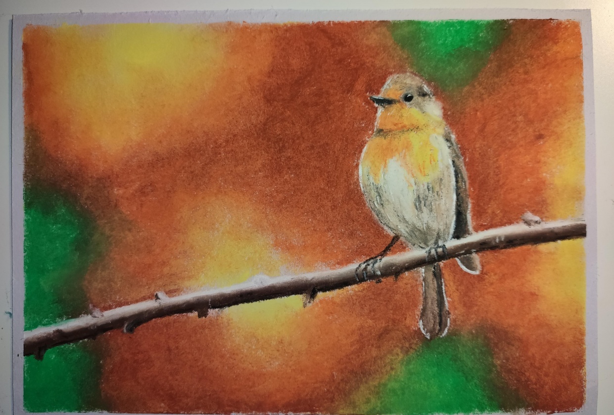 Robin - student project
