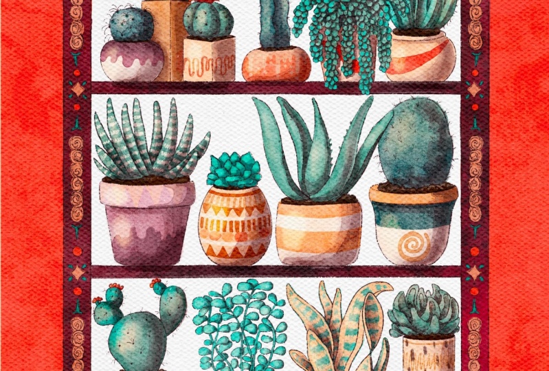 Cactuses and Succulents