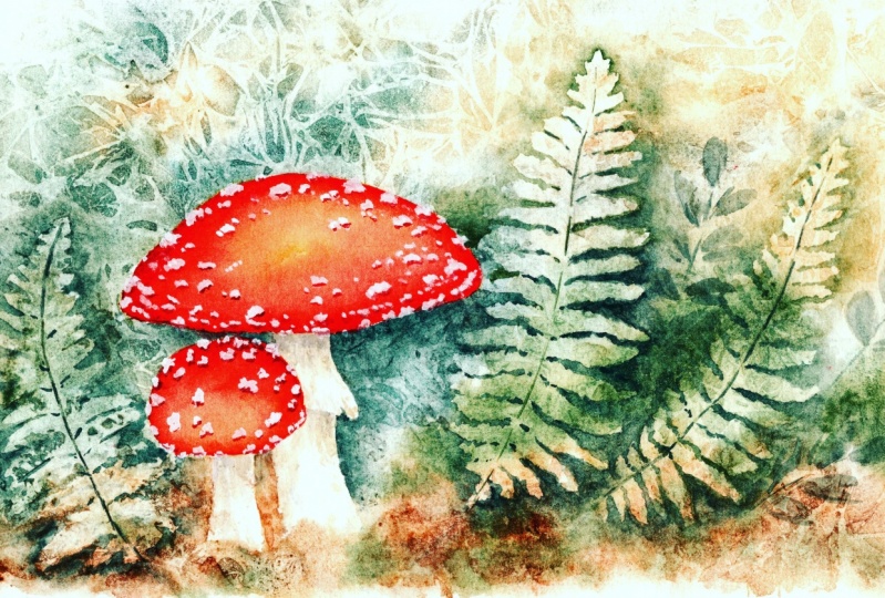 Magical mushrooms