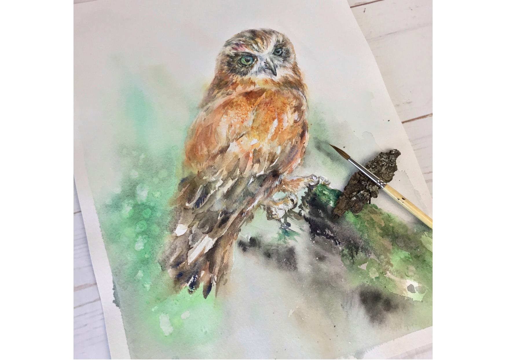 A barking owl study - student project