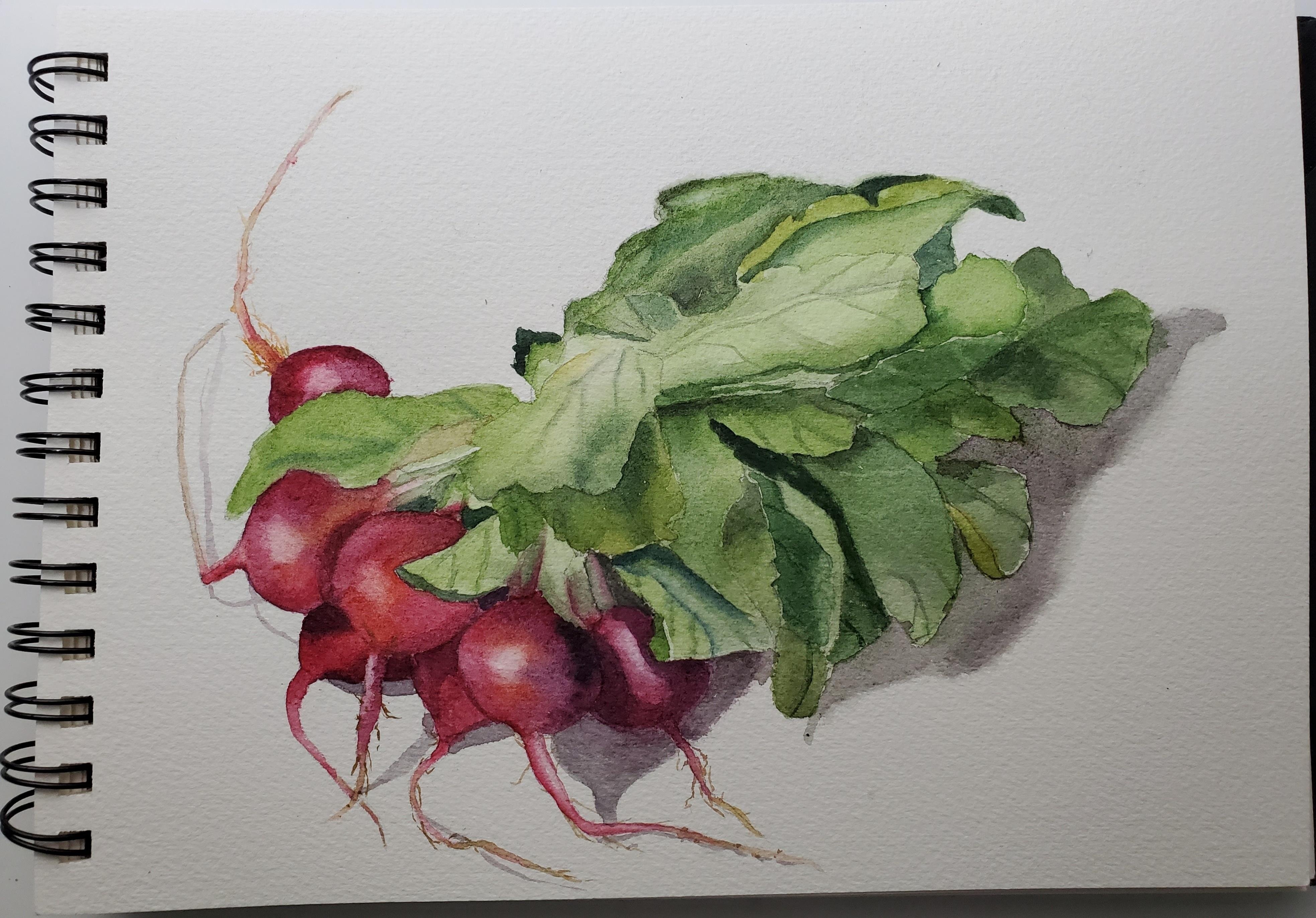 Veggies - student project