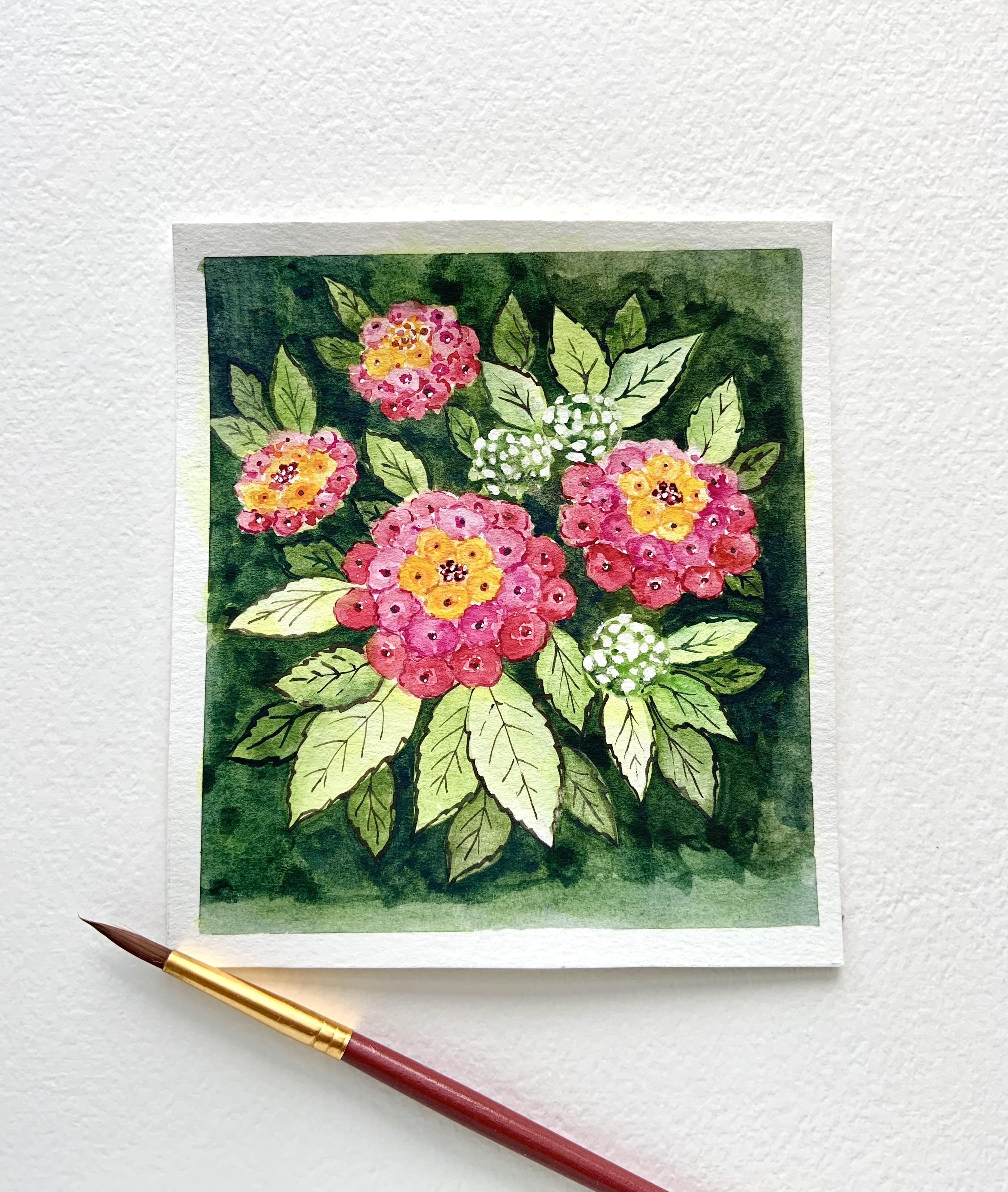 Lantana Camara loose watercolor - student project