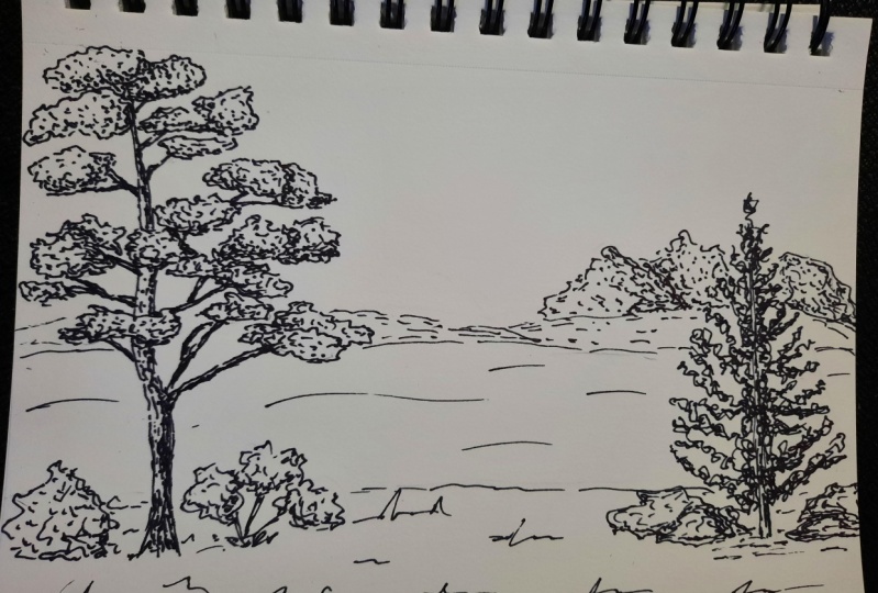 Let's sketch trees